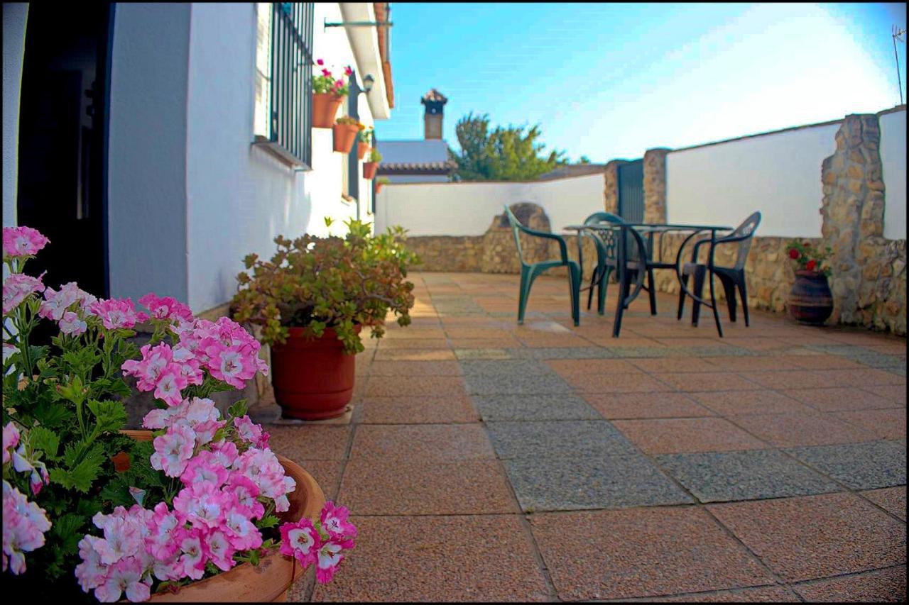 Chalet Con Piscina Privada Conil De La Frontera Buitenkant foto